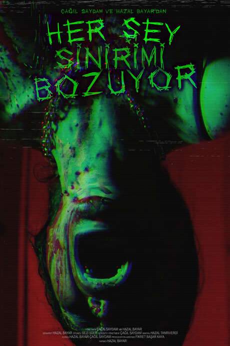    An experimental take on a nervous breakdown through a woman’s unconscious.  